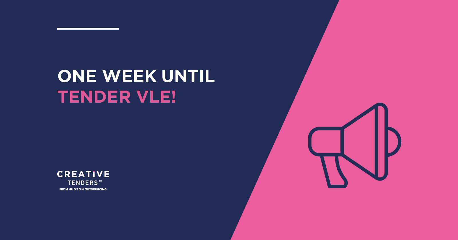 ONE WEEK UNTIL TENDER VLE! – Bid writing Course
